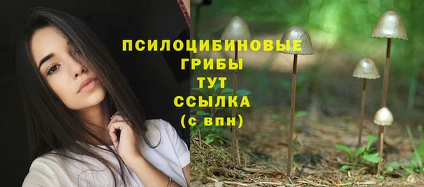 соль ск Горнозаводск