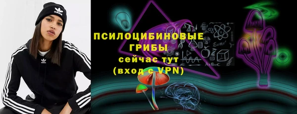 ALPHA PVP Горняк