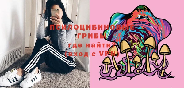 соль ск Горнозаводск