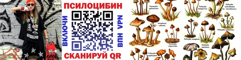 Псилоцибиновые грибы MAGIC MUSHROOMS  Вологда 